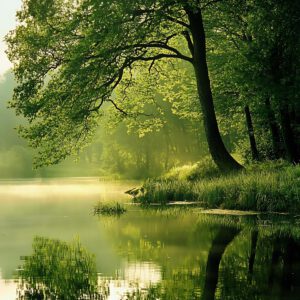 Morning motivation meditation to start the day with energy, focus, and positivity.